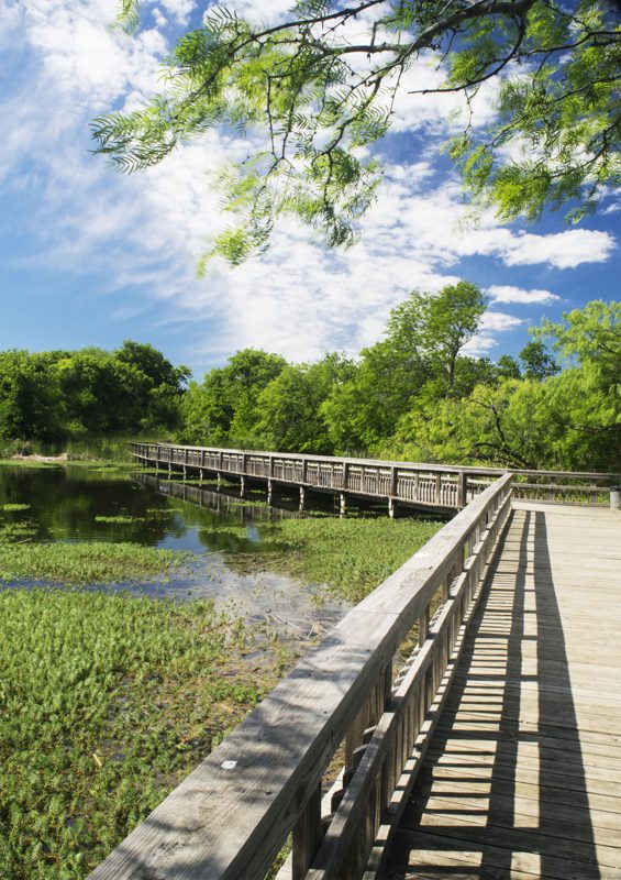 Cedar Hill Texas neighborhood - homes for sale and community attractions